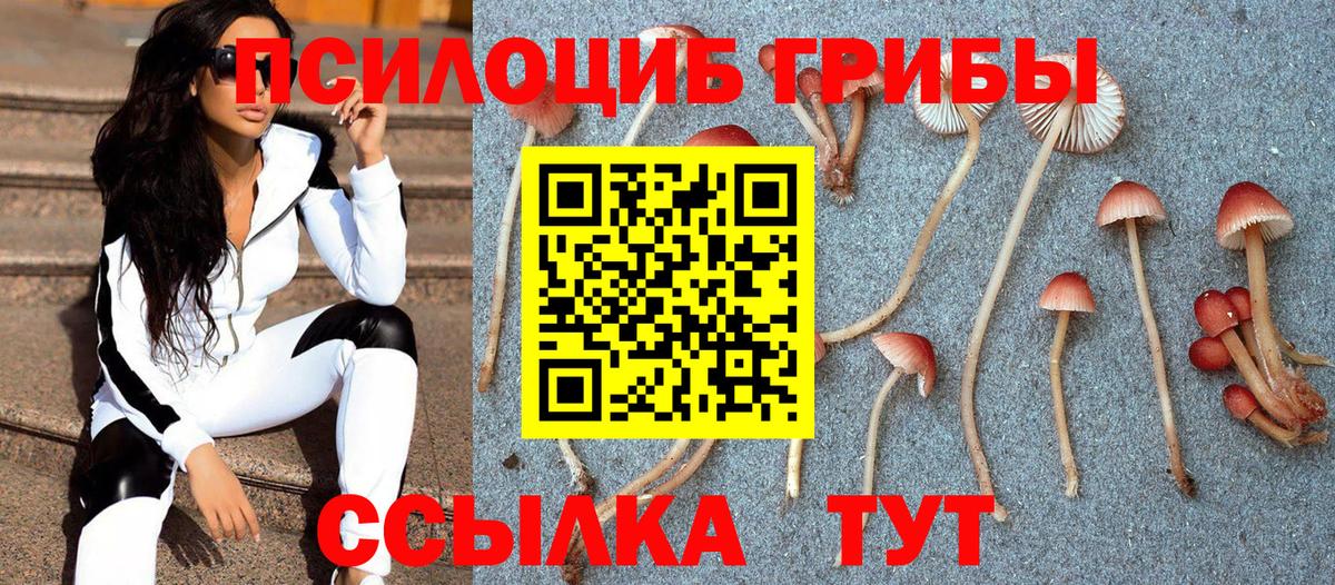 Галлюциногенные грибы прущие грибы Аша